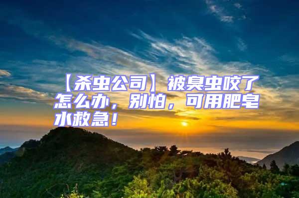 【殺蟲公司】被臭蟲咬了怎么辦，別怕，可用肥皂水救急！