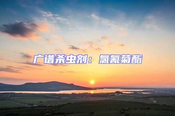 廣譜殺蟲劑：氯氰菊酯
