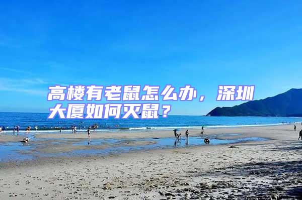 高樓有老鼠怎么辦，深圳大廈如何滅鼠？