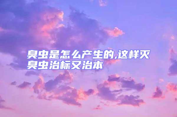 臭蟲是怎么產(chǎn)生的,這樣滅臭蟲治標又治本