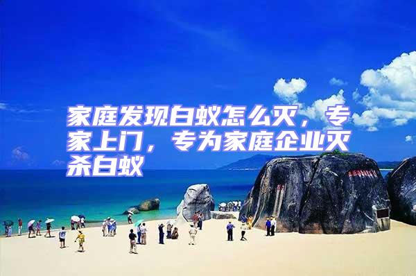 家庭發現白蟻怎么滅，專家上門，專為家庭企業滅殺白蟻