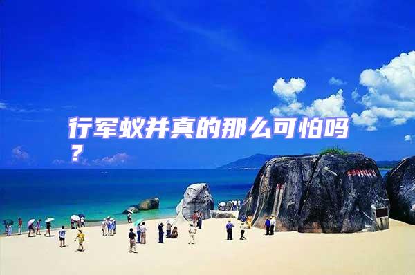 行軍蟻并真的那么可怕嗎？