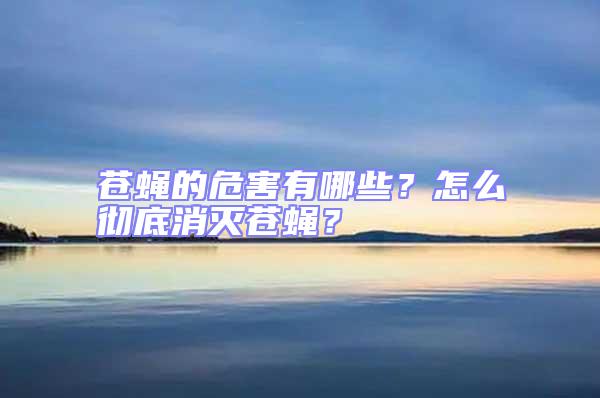 蒼蠅的危害有哪些？怎么徹底消滅蒼蠅？
