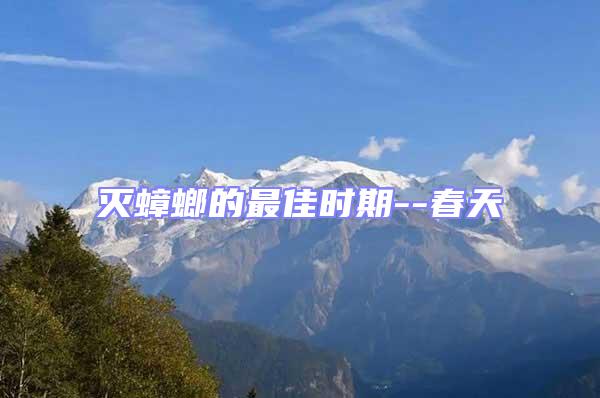 滅蟑螂的最佳時期--春天