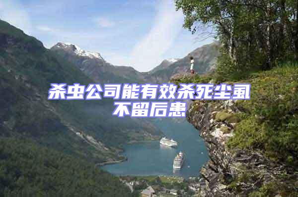 殺蟲公司能有效殺死塵虱不留后患