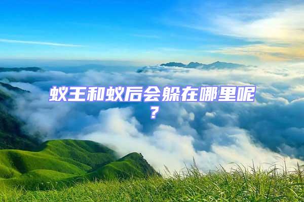蟻王和蟻后會躲在哪里呢？