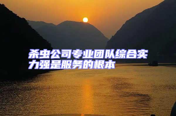 殺蟲公司專業團隊綜合實力強是服務的根本