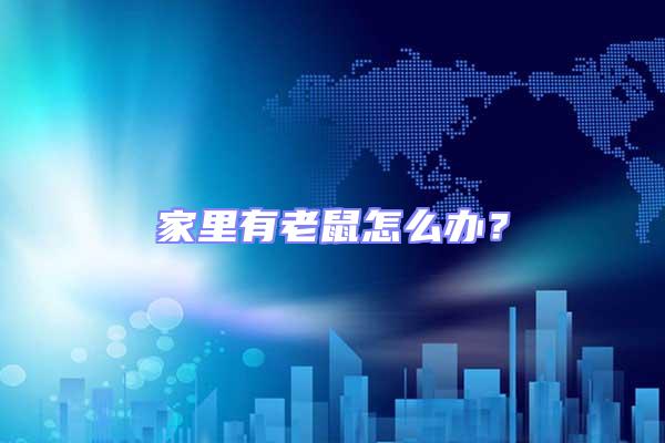 家里有老鼠怎么辦？