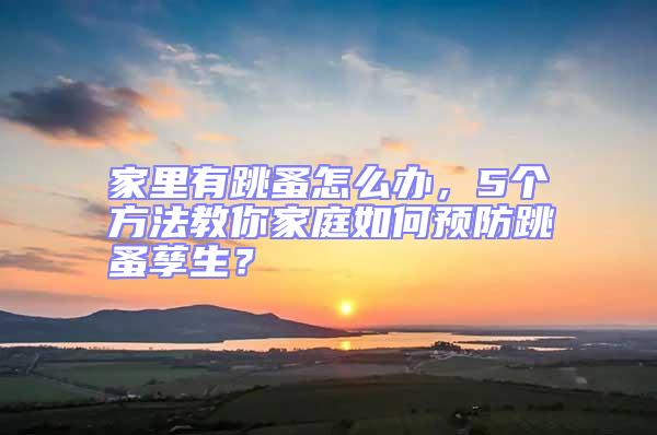 家里有跳蚤怎么辦，5個方法教你家庭如何預防跳蚤孳生？
