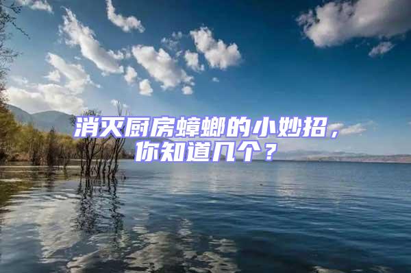 消滅廚房蟑螂的小妙招，你知道幾個？