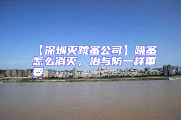 【深圳滅跳蚤公司】跳蚤怎么消滅，治與防一樣重要