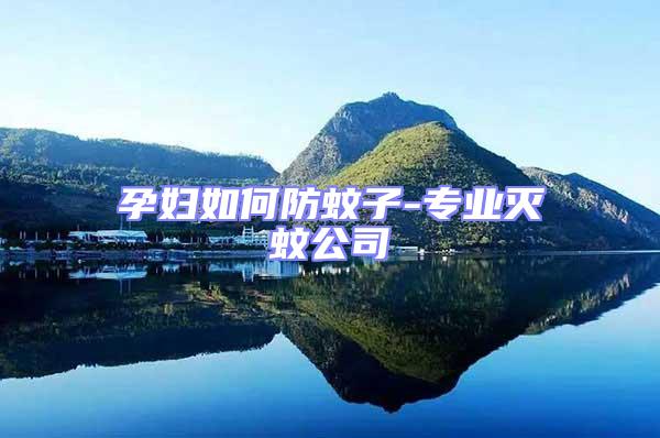 孕婦如何防蚊子-專業滅蚊公司