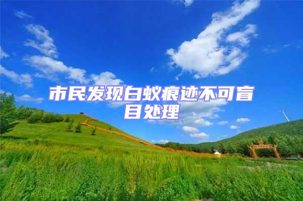 市民發現白蟻痕跡不可盲目處理