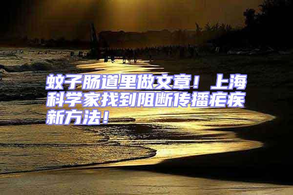 蚊子腸道里做文章！上?？茖W家找到阻斷傳播瘧疾新方法！