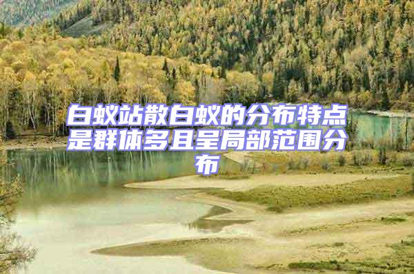 白蟻站散白蟻的分布特點(diǎn)是群體多且呈局部范圍分布