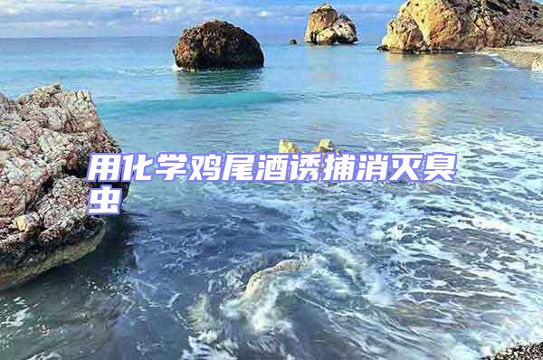 用化學雞尾酒誘捕消滅臭蟲