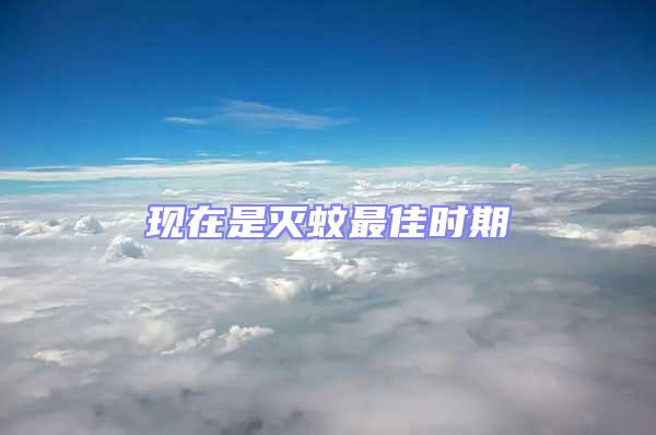 現(xiàn)在是滅蚊最佳時期