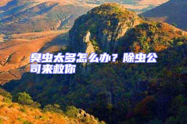 臭蟲太多怎么辦？除蟲公司來救你