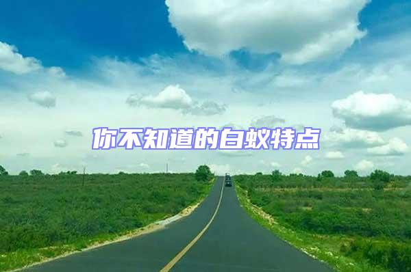你不知道的白蟻特點