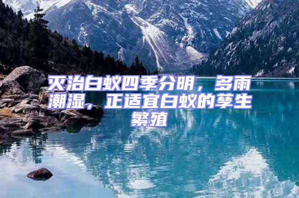 滅治白蟻四季分明，多雨潮濕，正適宜白蟻的孳生繁殖