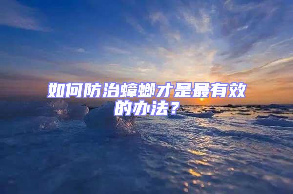 如何防治蟑螂才是最有效的辦法？