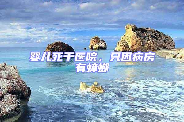 嬰兒死于醫(yī)院，只因病房有蟑螂