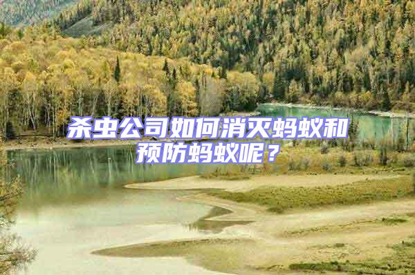 殺蟲(chóng)公司如何消滅螞蟻和預(yù)防螞蟻呢？