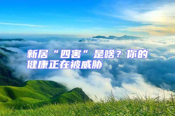 新居“四害”是啥？你的健康正在被威脅