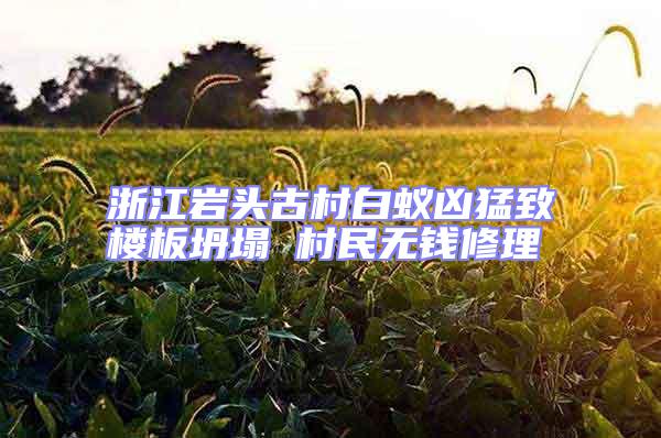 浙江巖頭古村白蟻兇猛致樓板坍塌 村民無錢修理