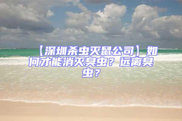 【深圳殺蟲滅鼠公司】如何才能消滅臭蟲？遠離臭蟲？
