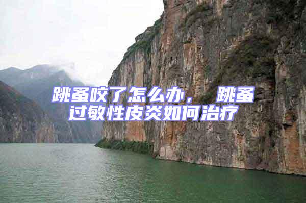 跳蚤咬了怎么辦， 跳蚤過敏性皮炎如何治療