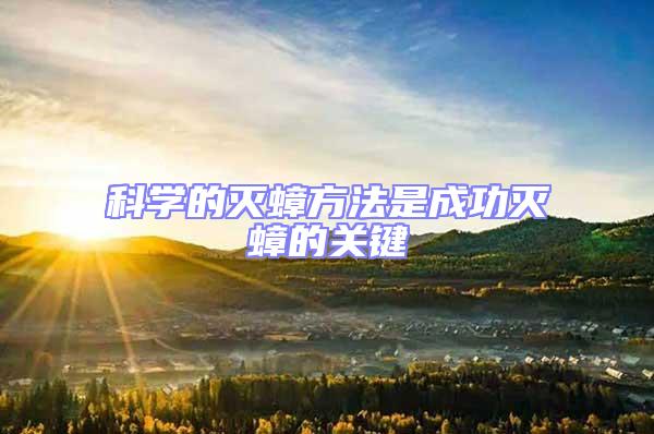 科學的滅蟑方法是成功滅蟑的關鍵