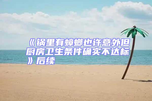 《鍋里有蟑螂也許意外但廚房衛(wèi)生條件確實(shí)不達(dá)標(biāo)》后續(xù)