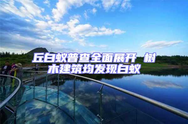 丘白蟻普查全面展開 樹木建筑均發(fā)現(xiàn)白蟻