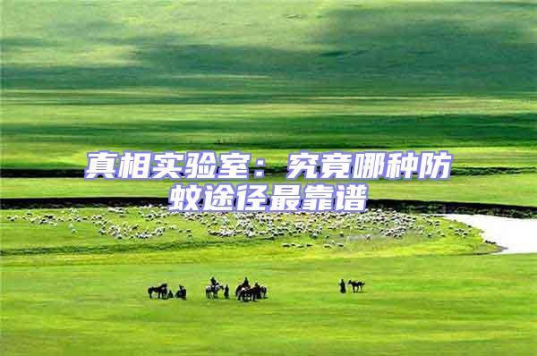 真相實驗室：究竟哪種防蚊途徑最靠譜