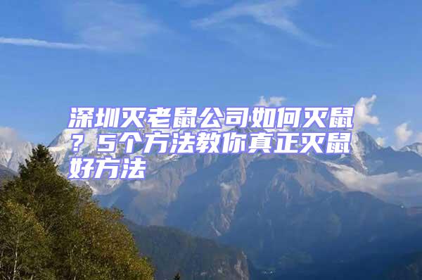 深圳滅老鼠公司如何滅鼠？5個方法教你真正滅鼠好方法