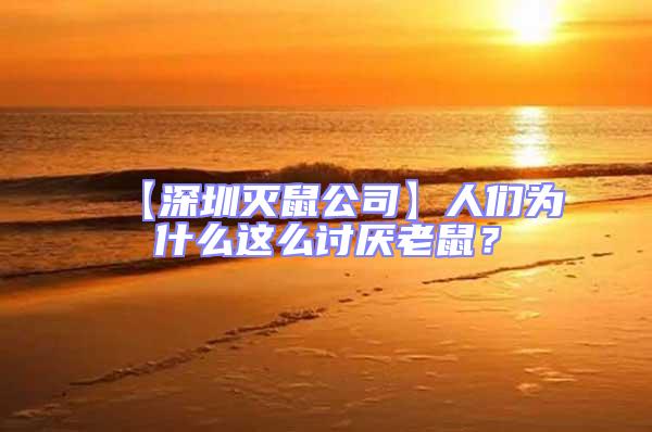 【深圳滅鼠公司】人們?yōu)槭裁催@么討厭老鼠？