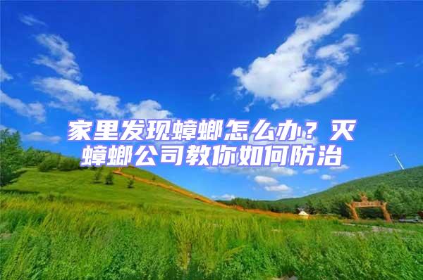 家里發現蟑螂怎么辦？滅蟑螂公司教你如何防治