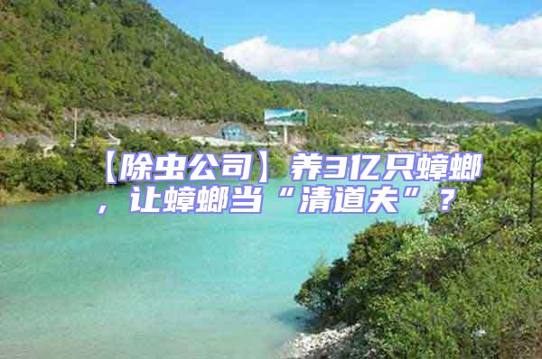 【除蟲公司】養3億只蟑螂，讓蟑螂當“清道夫”？