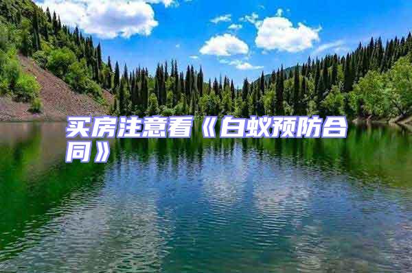 買房注意看《白蟻預防合同》