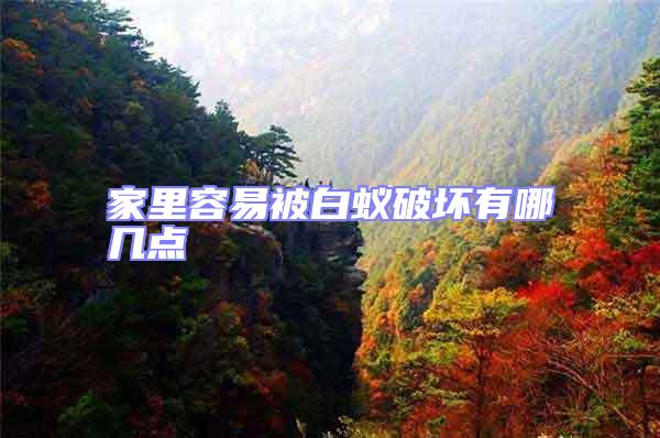 家里容易被白蟻破壞有哪幾點