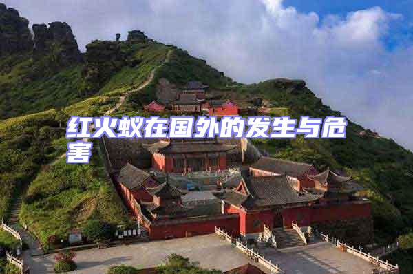 紅火蟻在國外的發生與危害