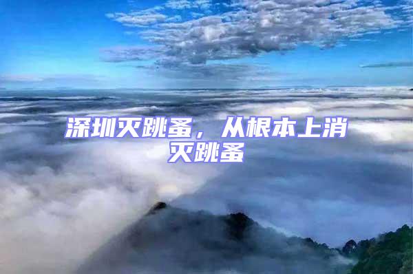 深圳滅跳蚤，從根本上消滅跳蚤