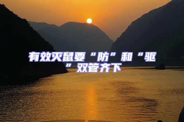 有效滅鼠要“防”和“驅”雙管齊下