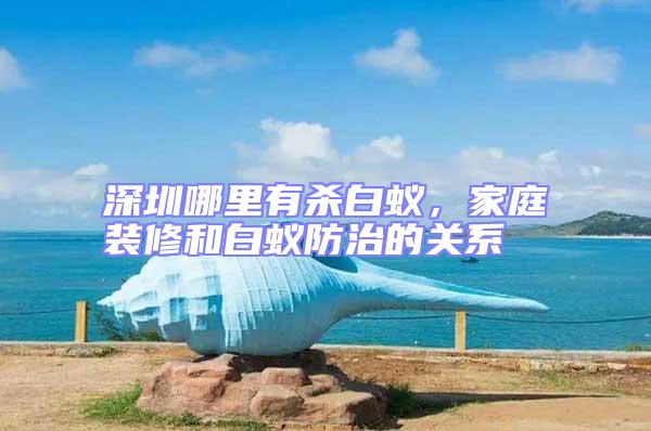 深圳哪里有殺白蟻，家庭裝修和白蟻防治的關(guān)系