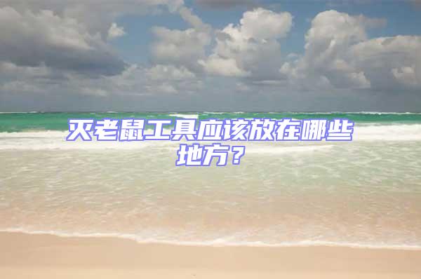 滅老鼠工具應該放在哪些地方？