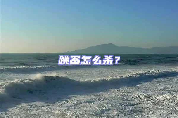跳蚤怎么殺？