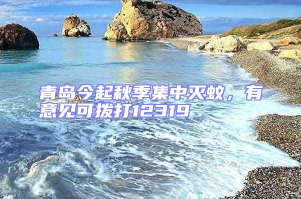 青島今起秋季集中滅蚊，有意見可撥打12319