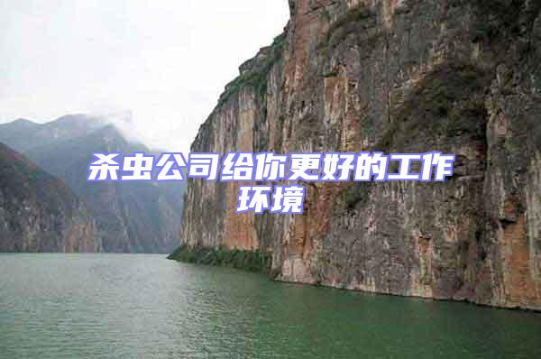 殺蟲公司給你更好的工作環境