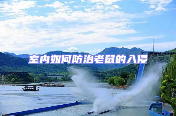 室內如何防治老鼠的入侵